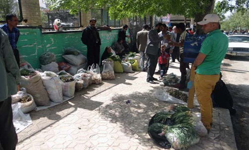 گیاهان کوهی &laquo;دنـا&raquo; در معرض انقراض