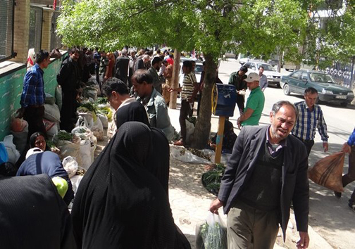 گیاهان کوهی &laquo;دنـا&raquo; در معرض انقراض