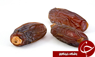 باغات خرما از تکنولوژی و تسهیلات بی‌بهره هستند/ سردخانه‌های مجهز نیاز کنونی صنعت تولید خرما