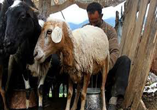 رود دره های شمیران از پرمراجعه ترین مکانهای گردشگری&zwnj;