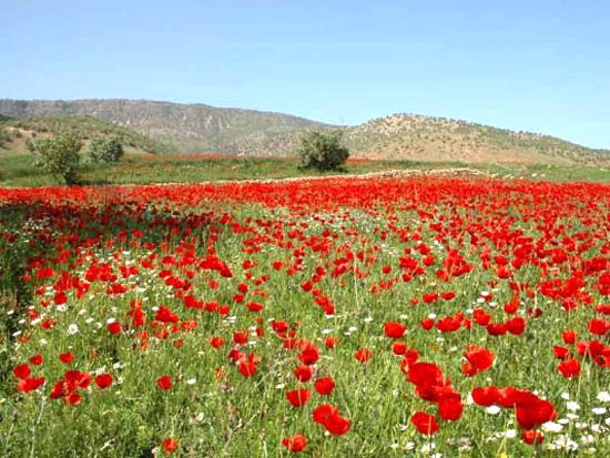 خرم&zwnj;آباد دیار زیبایی&zwnj;های طبیعت + تصاویر