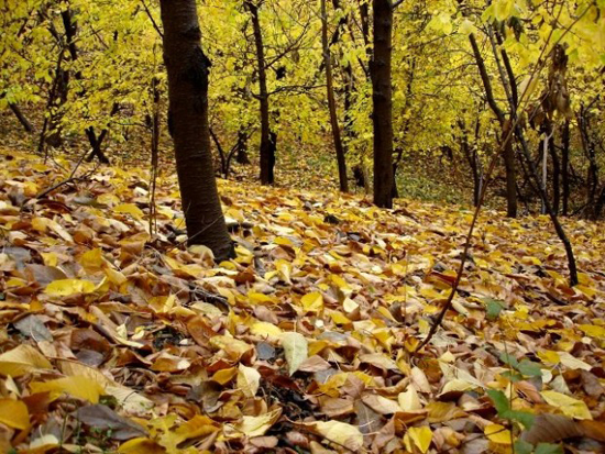 از منحصر به فردترین روستای مشهد دیدن کنید + تصاویر