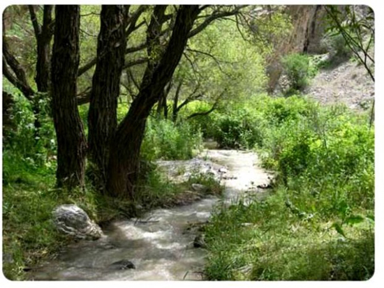 از منحصر به فردترین روستای مشهد دیدن کنید + تصاویر از منحصر به فردترین روستای مشهد دیدن کنید + تصاویر