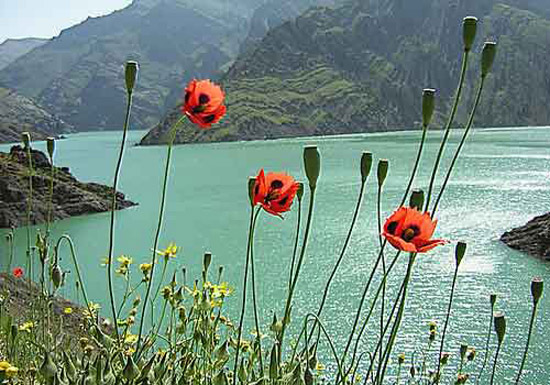 نگاهی گذرا به جاذبه&zwnj;های گردشگری تهران + تصاویر