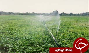 افزایش کمّی محصولات در سایه بهره بردن از نیروهای دانش‌آموخته کشاورزی