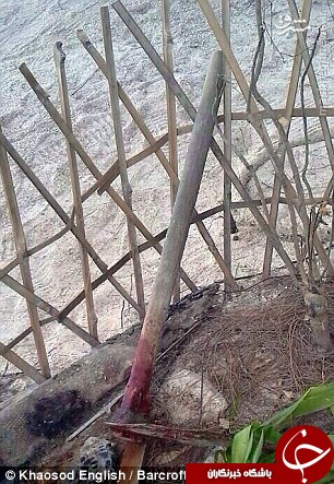 همه&zwnj;چیز درباره تایلند، مقصد هزاران گردشگر ایرانی + تصاویر