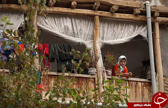عکس هایی که بوی زندگی می&zwnj;دهد ( قسمت شانزدهم)