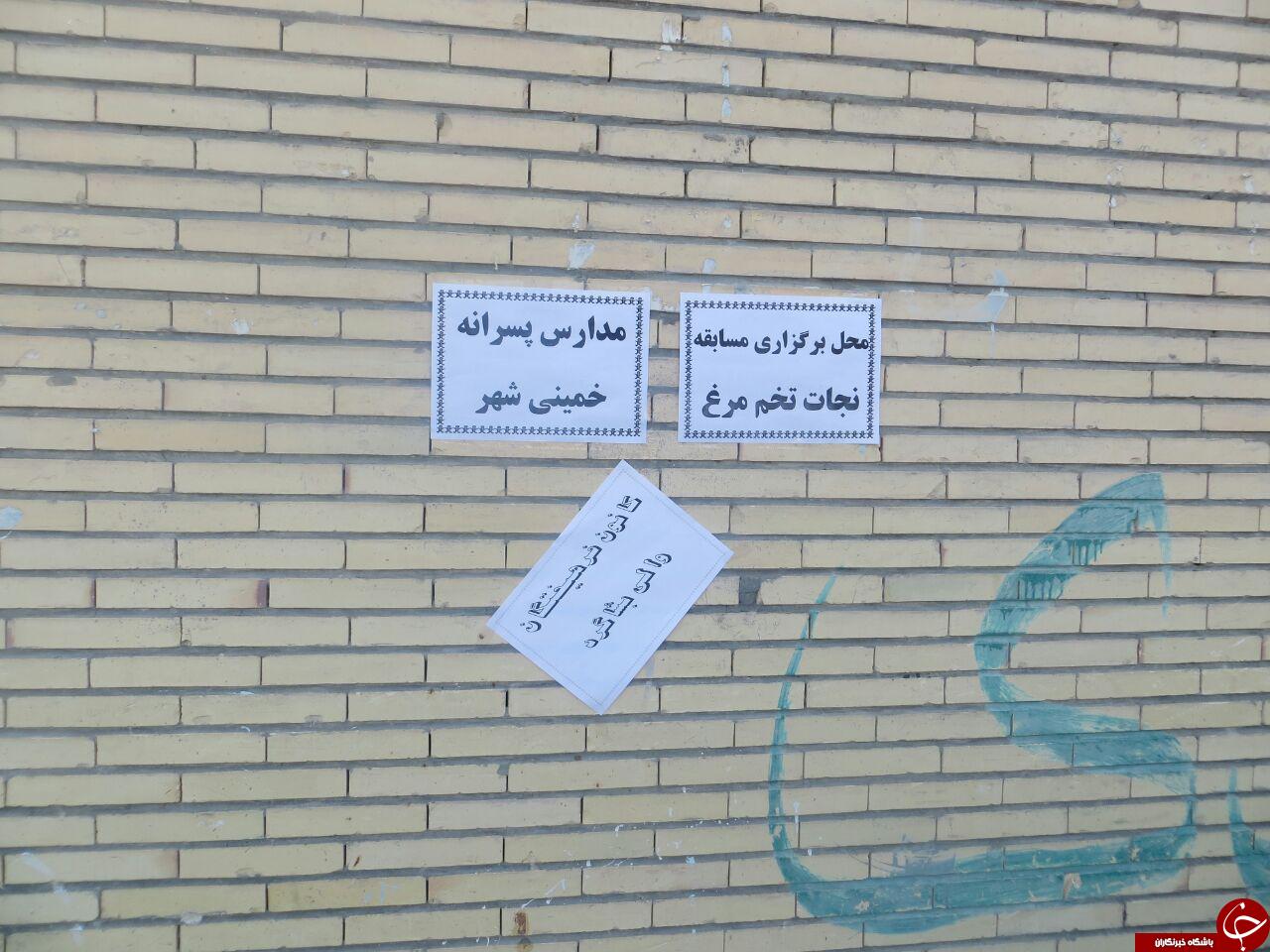 تخم&zwnj;مرغ را در مدرسه نجات دهید! + تصاویر