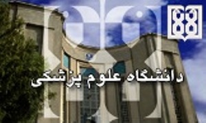 کسب رتبه دوم کشوری در نخستین جشنواره ملی