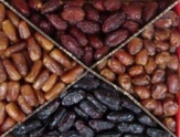 صادرات 200هزار تن خرمای هرمزگان