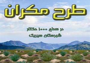 جمع آوری ۲۴۰ هزار متر مکعب آب در طرح جنگل کاری سیریک