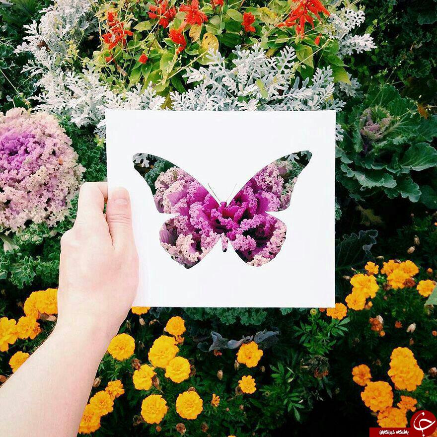 نقاشی شگفت انگیزحیوانات با طبیعت+تصاویر