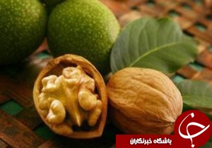 تمدید زمان بیمه 3 محصول کشاورزی درگیلان