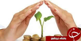 رشد بیمه محصولات کشاورزی در استان زنجان