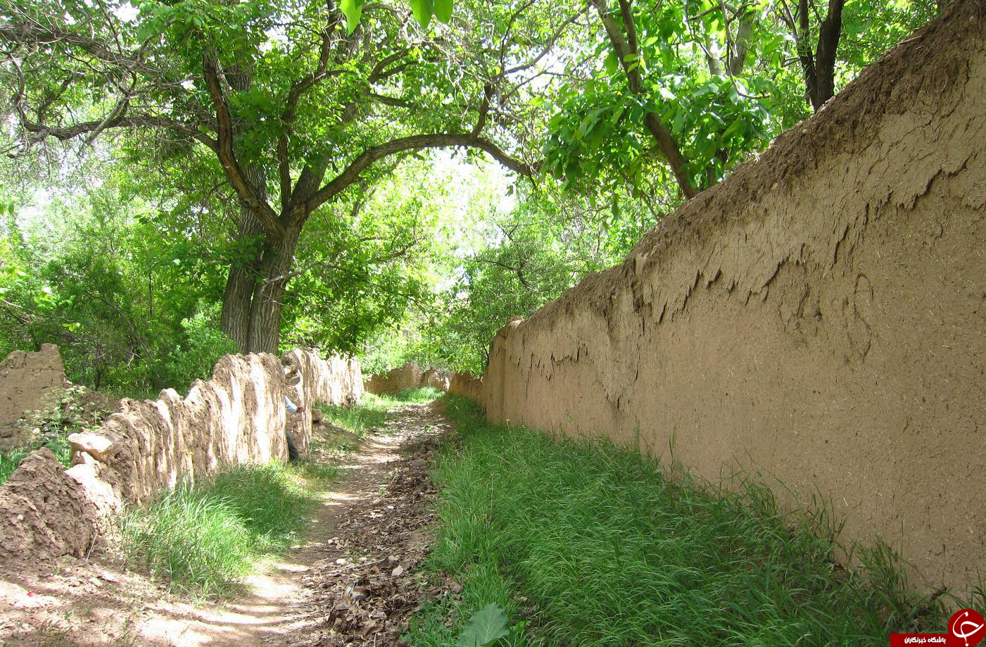 عکس هایی که بوی زندگی می&zwnj;دهد