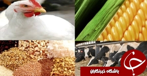 بازدید مدیرکل دامپزشکی خوزستان از کارخانجات دام وطیور