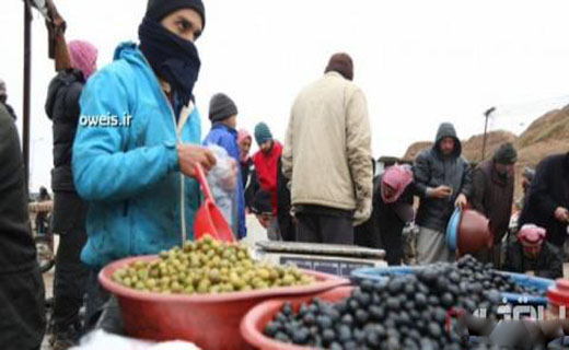 5 شنبه بازار داعش رونمایی شد! + تصاویر