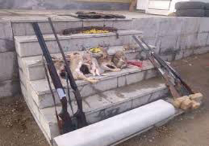 دستگیری پنج شکارچی غیر مجاز در شاهرود