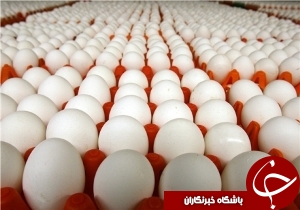 تخم مرغ های خوزستان در عراق