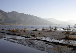 بختگان، طشک و کمجان جان گرفتند