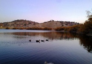 شش تالاب و زیست بوم  ایران در خطر نابودی