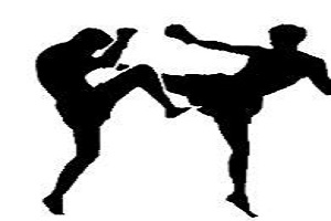 بیست و هشتمین دوره مسابقات قهرمانی کشور کیک بوکسینگ IKN