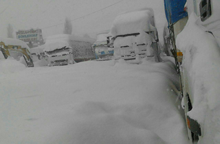 بدون آب و غذا در سرمای منهای 20 درجه + تصاویر