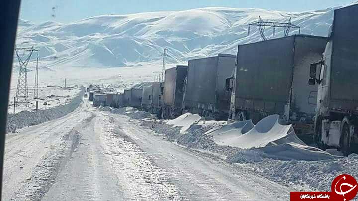 بدون آب و غذا در سرمای منهای 20 درجه + تصاویر