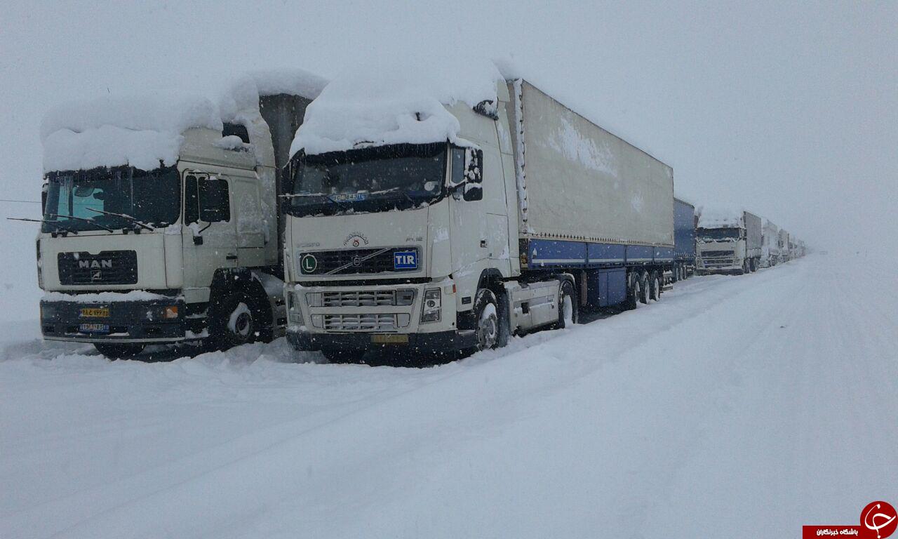 بدون آب و غذا در سرمای منهای 20 درجه + تصاویر