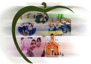 برپایی جشنواره آشپزی سالم در قشم