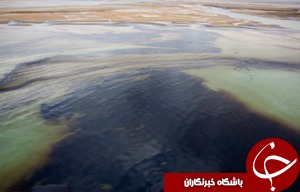 آلودگی های نفتی زیر ذره بین رئیس سازمان محیط زیست