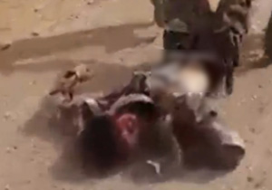 انتقال جسد خونین جلاد داعشی + فیلم (18+)