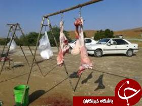 هشدار به عوامل فروش گوشت در جاده شوشتر