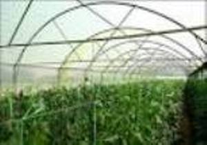 کارگاه آموزشی کاربرد مواد بیولوژیک گل خانه