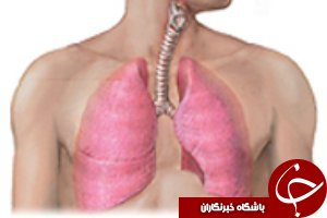 نوع تغذیه رابطه مستقیم با بیماری های ریوی دارد