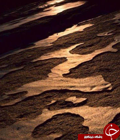 نمایی زیبا از طبیعت+ تصاویر