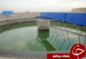 راه‌اندازی تصفیه‌خانه توسعه نیشکر در خوزستان