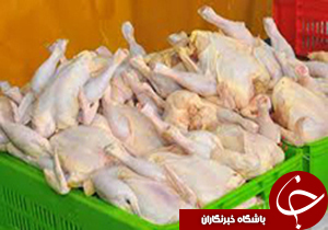بی خطر بودن عارضه سبز شدن عضله سینه مرغ