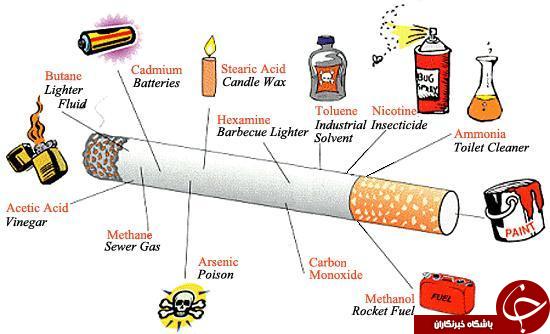 از سم موش تا پاک کننده توالت در یک نخ سیگار+ عکس