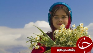 دبیرخانه‌ای برای «گل نرگس»