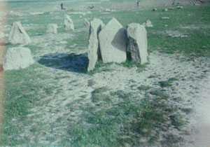 قبرستانی که شخم زده شد + تصاویر