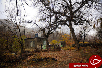 عکس هایی که بوی زندگی می&zwnj;دهد( قسمت نوزدهم)