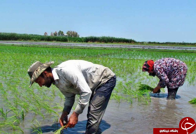 عکس هایی که بوی زندگی می&zwnj;دهد( قسمت نوزدهم)