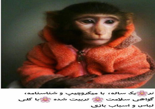 قاچاق حیات وحش در تهران+ عکس