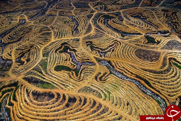 هجوم دشمنان مخرب به کره خاکی + تصاویر