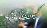 حضور 5 وزیر در کمیسیون‌های تخصصی همراه با بررسی شهادت آیت‌الله نمر