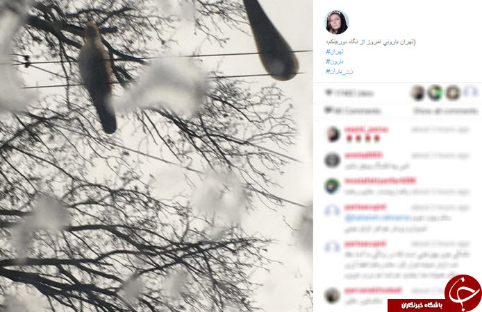 اینستاگردی