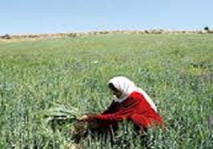 اشتغال زنان روستایی در شهرکرد