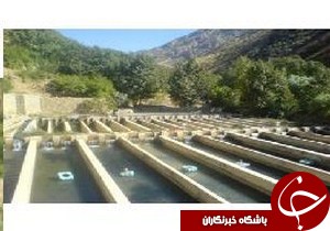 تشکیل خانه سرمايه گذار