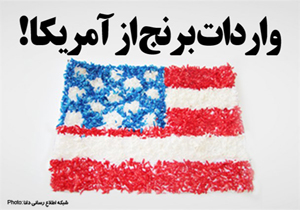 واردات برنج از آمریکا تامین نیاز یا اعطای امتیاز!؟